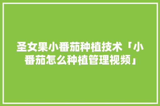 圣女果小番茄种植技术「小番茄怎么种植管理视频」 番茄病虫害防治