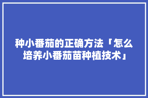 种小番茄的正确方法「怎么培养小番茄苗种植技术」 种小番茄的正确方法「怎么培养小番茄苗种植技术」 番茄种植技巧
