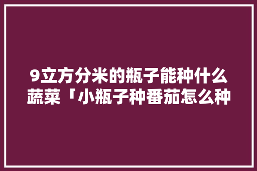 9立方分米的瓶子能种什么蔬菜「小瓶子种番茄怎么种植视频」 番茄病虫害防治 9立方分米的瓶子能种什么蔬菜「小瓶子种番茄怎么种植视频」 9立方分米的瓶子能种什么蔬菜「小瓶子种番茄怎么种植视频」 番茄病虫害防治