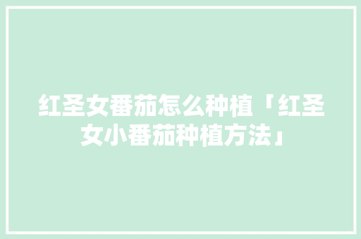 红圣女番茄怎么种植「红圣女小番茄种植方法」