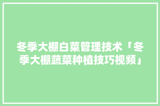 冬季大棚白菜管理技术「冬季大棚蔬菜种植技巧视频」
