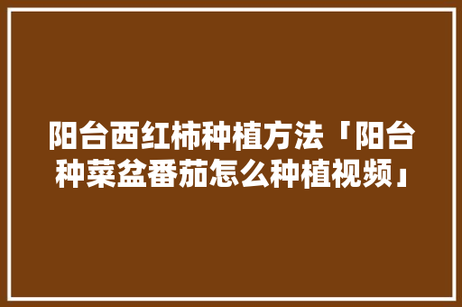 阳台西红柿种植方法「阳台种菜盆番茄怎么种植视频」 阳台西红柿种植方法「阳台种菜盆番茄怎么种植视频」 农业常识