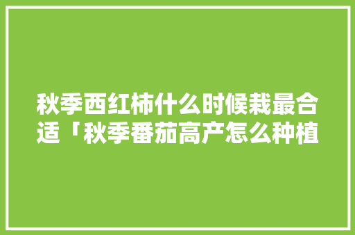 秋季西红柿什么时候栽最合适「秋季番茄高产怎么种植视频」