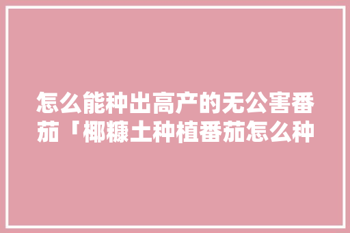 怎么能种出高产的无公害番茄「椰糠土种植番茄怎么种植的」 植物种类 怎么能种出高产的无公害番茄「椰糠土种植番茄怎么种植的」 怎么能种出高产的无公害番茄「椰糠土种植番茄怎么种植的」 植物种类