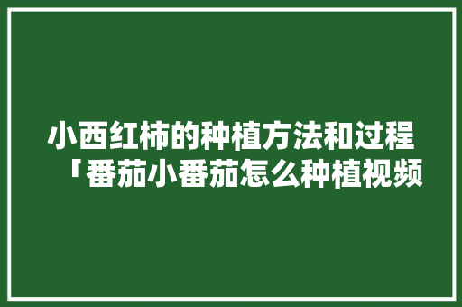 小西红柿的种植方法和过程「番茄小番茄怎么种植视频」 番茄病虫害防治 小西红柿的种植方法和过程「番茄小番茄怎么种植视频」 小西红柿的种植方法和过程「番茄小番茄怎么种植视频」 番茄病虫害防治