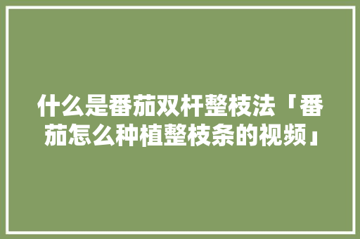 什么是番茄双杆整枝法「番茄怎么种植整枝条的视频」 什么是番茄双杆整枝法「番茄怎么种植整枝条的视频」 农业常识