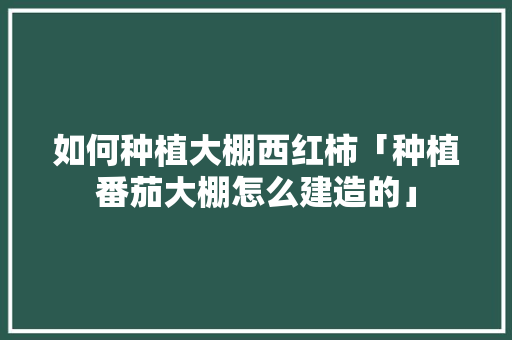 如何种植大棚西红柿「种植番茄大棚怎么建造的」 如何种植大棚西红柿「种植番茄大棚怎么建造的」 番茄病虫害防治