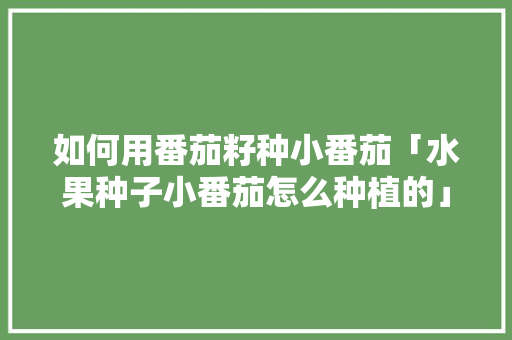 如何用番茄籽种小番茄「水果种子小番茄怎么种植的」 如何用番茄籽种小番茄「水果种子小番茄怎么种植的」 土壤施肥