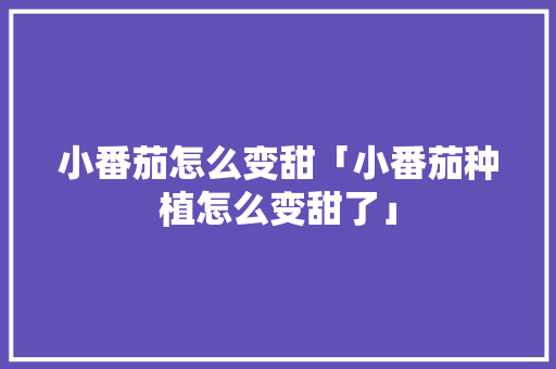 小番茄怎么变甜「小番茄种植怎么变甜了」