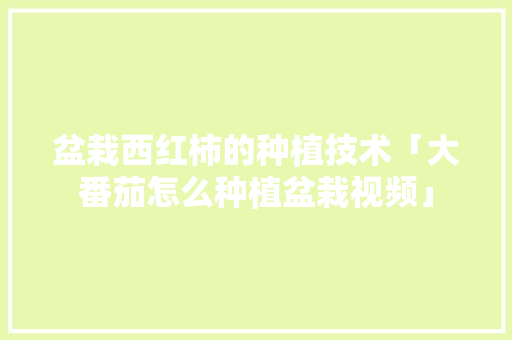 盆栽西红柿的种植技术「大番茄怎么种植盆栽视频」 盆栽西红柿的种植技术「大番茄怎么种植盆栽视频」 植物种类