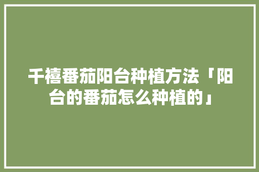 千禧番茄阳台种植方法「阳台的番茄怎么种植的」 千禧番茄阳台种植方法「阳台的番茄怎么种植的」 番茄种植技巧