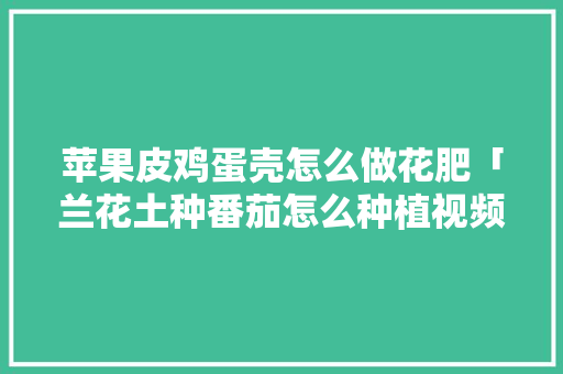苹果皮鸡蛋壳怎么做花肥「兰花土种番茄怎么种植视频」