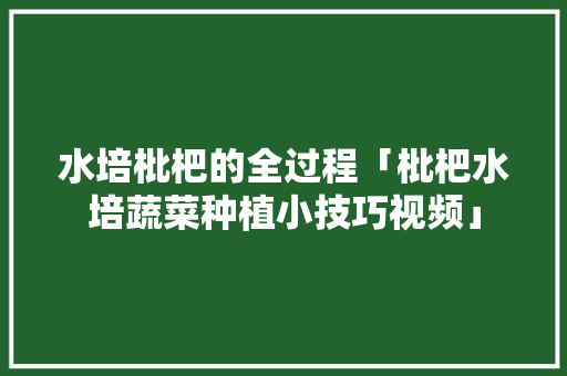 水培枇杷的全过程「枇杷水培蔬菜种植小技巧视频」