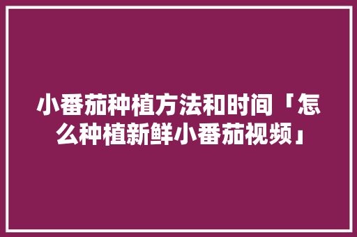 小番茄种植方法和时间「怎么种植新鲜小番茄视频」 小番茄种植方法和时间「怎么种植新鲜小番茄视频」 番茄病虫害防治