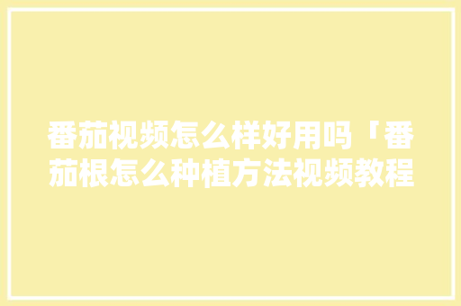 番茄视频怎么样好用吗「番茄根怎么种植方法视频教程」 番茄视频怎么样好用吗「番茄根怎么种植方法视频教程」 番茄种植技巧