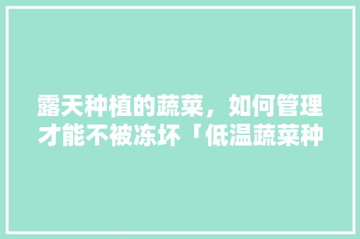 露天种植的蔬菜，如何管理才能不被冻坏「低温蔬菜种植技巧和方法视频」 露天种植的蔬菜，如何管理才能不被冻坏「低温蔬菜种植技巧和方法视频」 土壤施肥