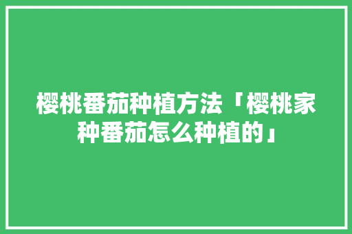 樱桃番茄种植方法「樱桃家种番茄怎么种植的」 樱桃番茄种植方法「樱桃家种番茄怎么种植的」 番茄种植技巧