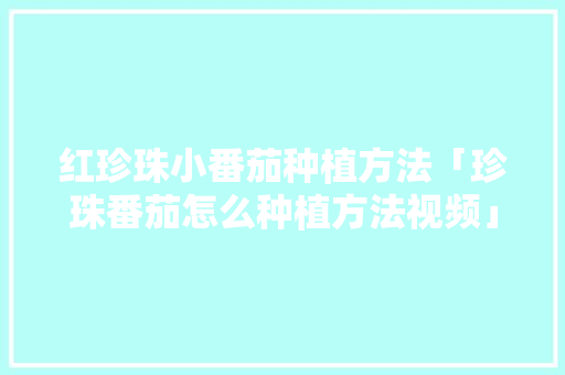 红珍珠小番茄种植方法「珍珠番茄怎么种植方法视频」 红珍珠小番茄种植方法「珍珠番茄怎么种植方法视频」 土壤施肥