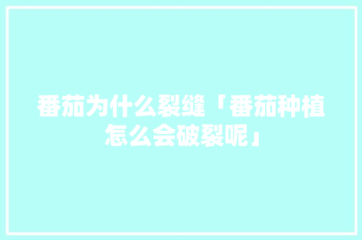 番茄为什么裂缝「番茄种植怎么会破裂呢」