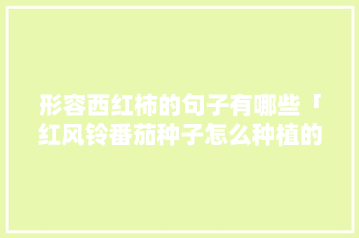 形容西红柿的句子有哪些「红风铃番茄种子怎么种植的」