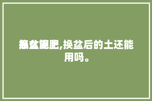 换盆泥土怎么施肥,换盆后的土还能用吗。 换盆泥土怎么施肥,换盆后的土还能用吗。 土壤施肥