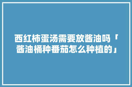西红柿蛋汤需要放酱油吗「酱油桶种番茄怎么种植的」 西红柿蛋汤需要放酱油吗「酱油桶种番茄怎么种植的」 土壤施肥