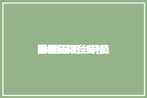 大番茄阳台莳植本领,大番茄阳台莳植本领图解。 大番茄阳台莳植本领,大番茄阳台莳植本领图解。 番茄种植技巧