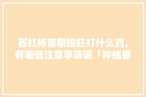 西红柿苗期控旺打什么药,有哪些注意事项呢「种植番茄怎么用药最好」 花朵知识 西红柿苗期控旺打什么药,有哪些注意事项呢「种植番茄怎么用药最好」 西红柿苗期控旺打什么药,有哪些注意事项呢「种植番茄怎么用药最好」 花朵知识