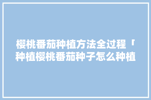 樱桃番茄种植方法全过程「种植樱桃番茄种子怎么种植」 樱桃番茄种植方法全过程「种植樱桃番茄种子怎么种植」 土壤施肥