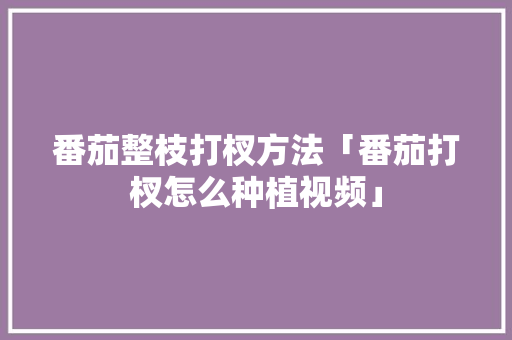 番茄整枝打杈方法「番茄打杈怎么种植视频」 番茄整枝打杈方法「番茄打杈怎么种植视频」 土壤施肥