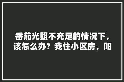 番茄光照不充足的情况下，该怎么办？我住小区房，阳台是包在房间内的，而客厅有光照到时间短「露天种植番茄怎么遮阳呢」