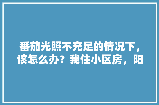 番茄光照不充足的情况下，该怎么办？我住小区房，阳台是包在房间内的，而客厅有光照到时间短「露天种植番茄怎么遮阳呢」