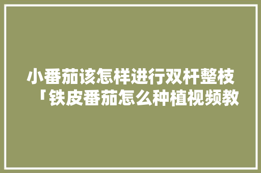 小番茄该怎样进行双杆整枝「铁皮番茄怎么种植视频教程」
