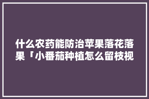 什么农药能防治苹果落花落果「小番茄种植怎么留枝视频」