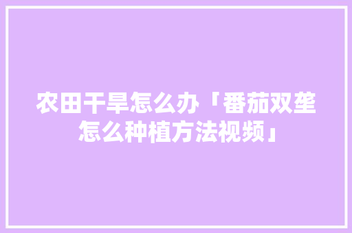 农田干旱怎么办「番茄双垄怎么种植方法视频」 花朵知识 农田干旱怎么办「番茄双垄怎么种植方法视频」 农田干旱怎么办「番茄双垄怎么种植方法视频」 花朵知识
