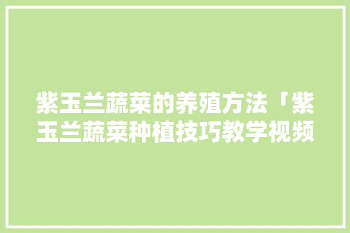 紫玉兰蔬菜的养殖方法「紫玉兰蔬菜种植技巧教学视频」