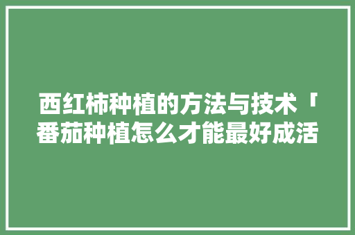 西红柿种植的方法与技术「番茄种植怎么才能最好成活」 花朵知识 西红柿种植的方法与技术「番茄种植怎么才能最好成活」 西红柿种植的方法与技术「番茄种植怎么才能最好成活」 花朵知识