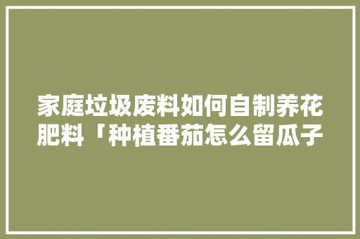 家庭垃圾废料如何自制养花肥料「种植番茄怎么留瓜子枝」