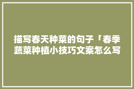 描写春天种菜的句子「春季蔬菜种植小技巧文案怎么写」 描写春天种菜的句子「春季蔬菜种植小技巧文案怎么写」 番茄种植技巧