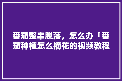番茄整串脱落，怎么办「番茄种植怎么摘花的视频教程」 番茄整串脱落，怎么办「番茄种植怎么摘花的视频教程」 番茄种植技巧