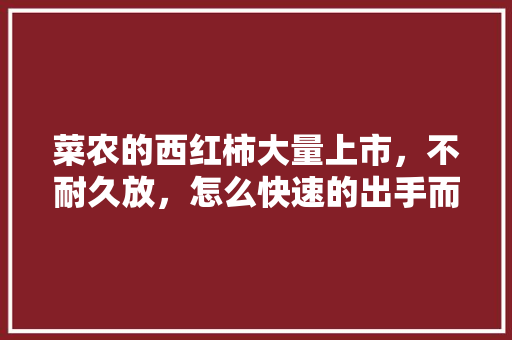 菜农的西红柿大量上市，不耐久放，怎么快速的出手而又不至于赔钱「蔬菜种植技巧番茄图片」 菜农的西红柿大量上市，不耐久放，怎么快速的出手而又不至于赔钱「蔬菜种植技巧番茄图片」 农业常识