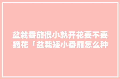 盆栽番茄很小就开花要不要摘花「盆栽矮小番茄怎么种植视频」