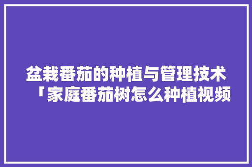 盆栽番茄的种植与管理技术「家庭番茄树怎么种植视频」 盆栽番茄的种植与管理技术「家庭番茄树怎么种植视频」 番茄种植技巧