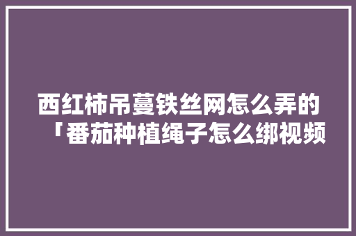 西红柿吊蔓铁丝网怎么弄的「番茄种植绳子怎么绑视频」