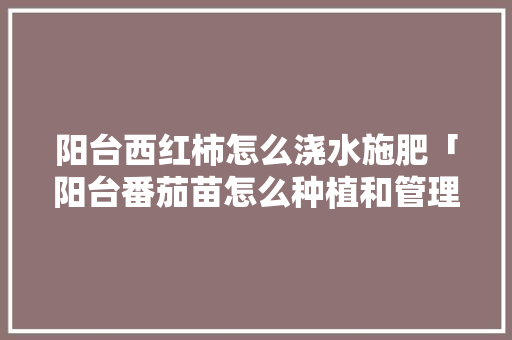 阳台西红柿怎么浇水施肥「阳台番茄苗怎么种植和管理」 阳台西红柿怎么浇水施肥「阳台番茄苗怎么种植和管理」 农业常识