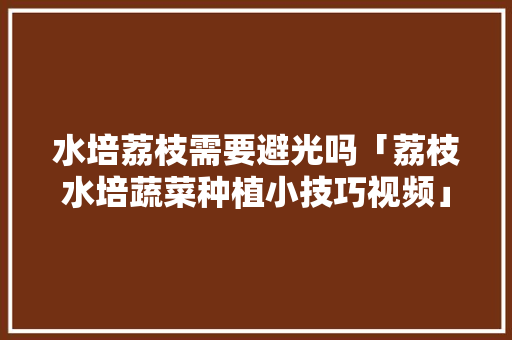 水培荔枝需要避光吗「荔枝水培蔬菜种植小技巧视频」 水培荔枝需要避光吗「荔枝水培蔬菜种植小技巧视频」 农业常识
