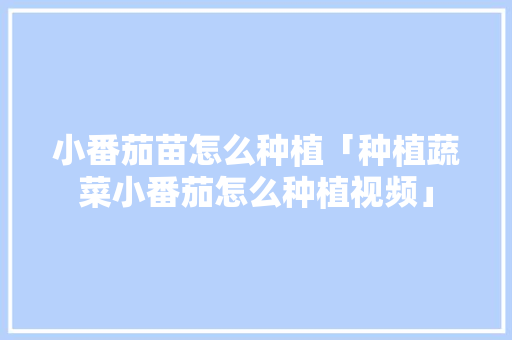 小番茄苗怎么种植「种植蔬菜小番茄怎么种植视频」 小番茄苗怎么种植「种植蔬菜小番茄怎么种植视频」 番茄种植技巧
