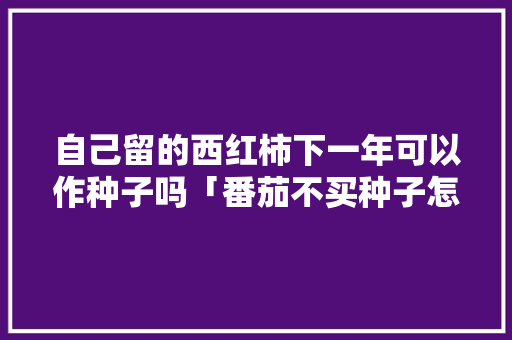 自己留的西红柿下一年可以作种子吗「番茄不买种子怎么种植呢」 自己留的西红柿下一年可以作种子吗「番茄不买种子怎么种植呢」 番茄种植技巧