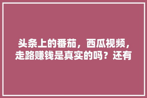 头条上的番茄，西瓜视频，走路赚钱是真实的吗？还有拼多多「番茄种植地怎么整理视频教程」 头条上的番茄，西瓜视频，走路赚钱是真实的吗？还有拼多多「番茄种植地怎么整理视频教程」 花朵知识