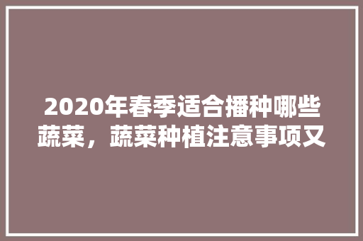 2020年春季适合播种哪些蔬菜，蔬菜种植注意事项又有哪些呢「盘点蔬菜种植小技巧视频教程」 2020年春季适合播种哪些蔬菜，蔬菜种植注意事项又有哪些呢「盘点蔬菜种植小技巧视频教程」 番茄种植技巧